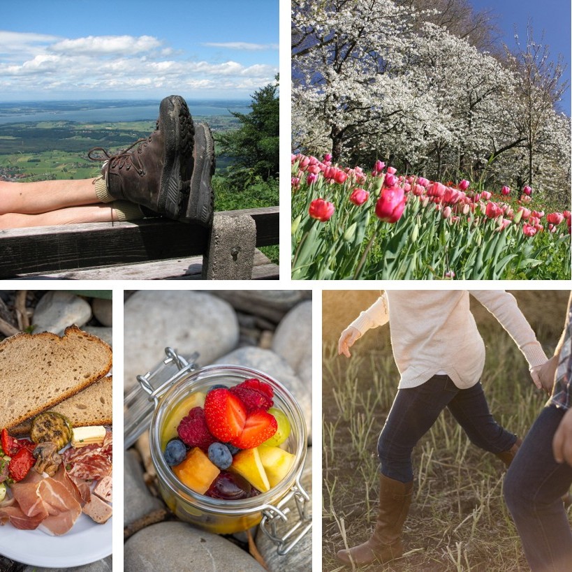 geführte Wanderung im Frühling am Bodensee mit Picknick und gemeinsamen Naturerlebnissen
