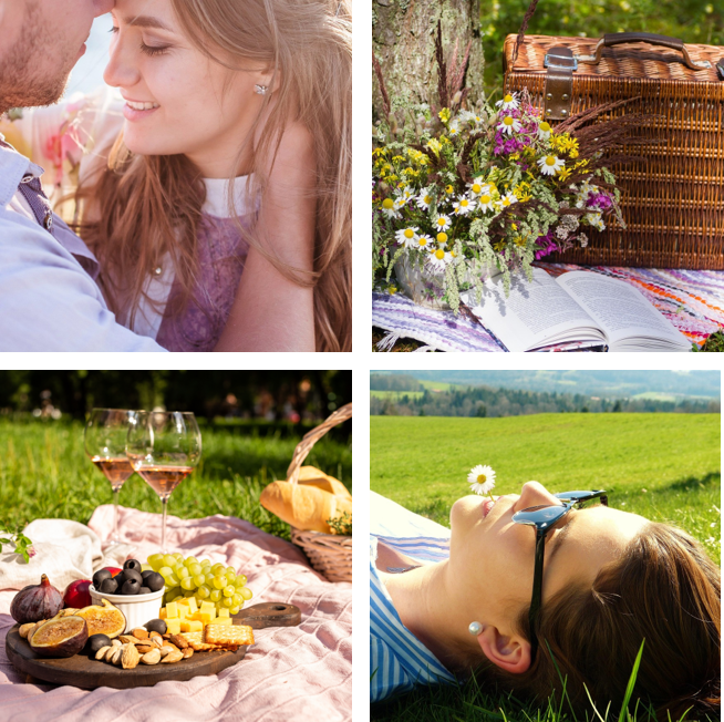 ayurvedisches Picknick mit Blick auf die Alpen und den Bodensee